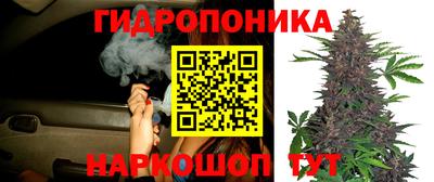 прущая мука Камышлов